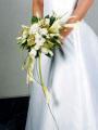 �lub, wesele